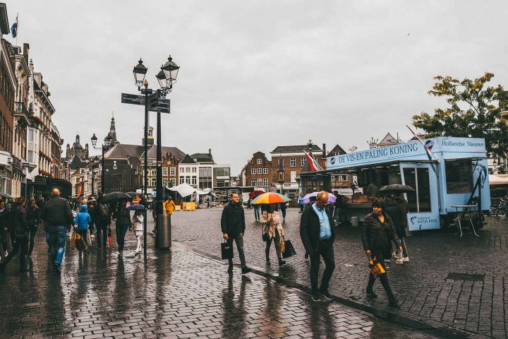 Beekse Bergen