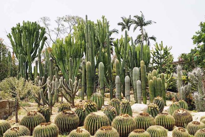 Fort Hulishan