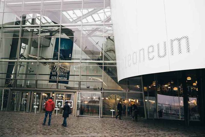 Ozeaneum Stralsund