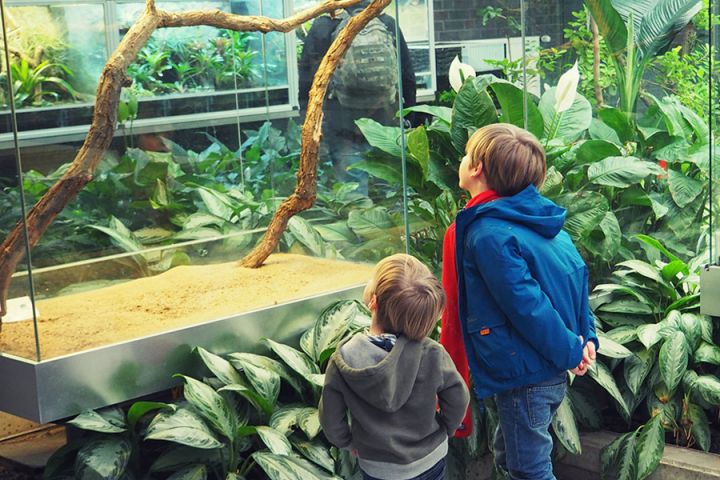 Kölner Zoo