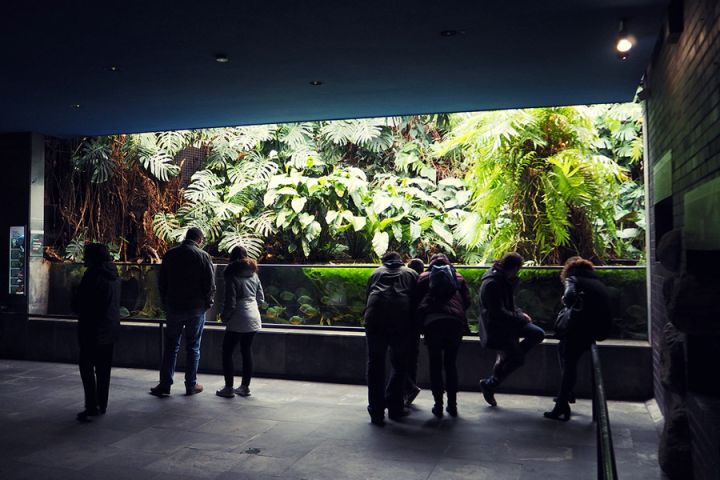 Kölner Zoo