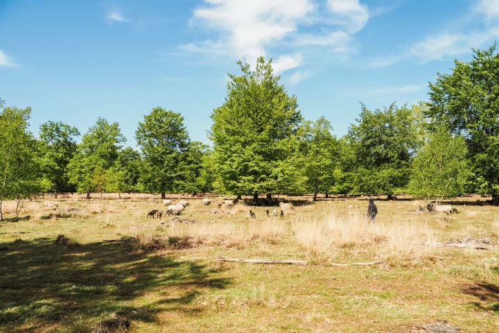 Wochenende in Drenthe in den Niederlanden