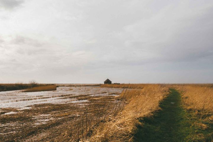 Friesland