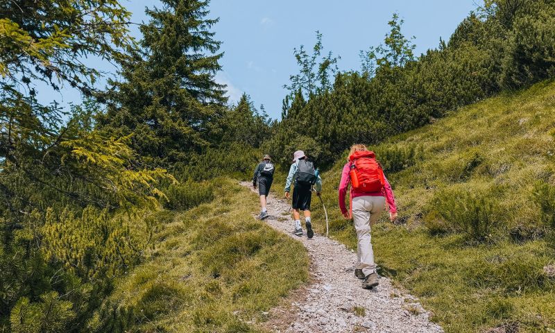 Familie wandert auf dem KAT Walk Family durch die grüne Berglandschaft der Kitzbüheler Alpen.