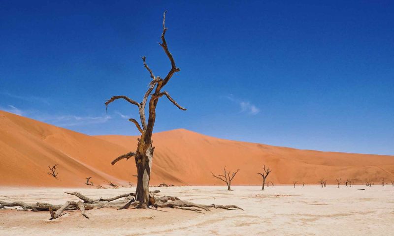 Sossusvlei Namibia Deadvlei