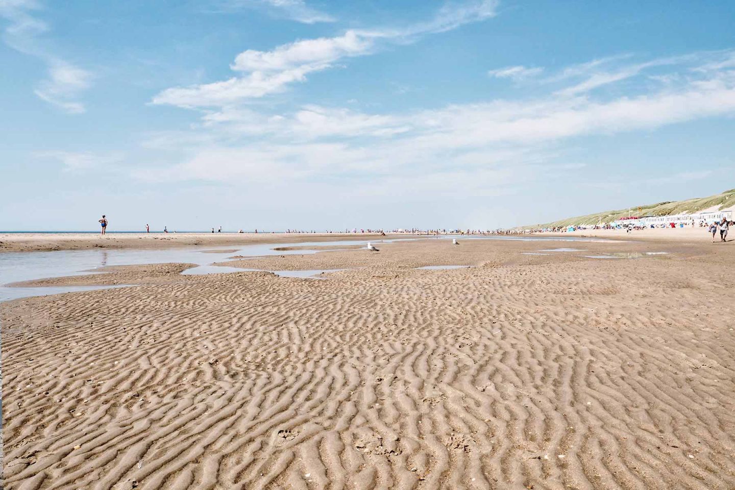 Strand in Holland