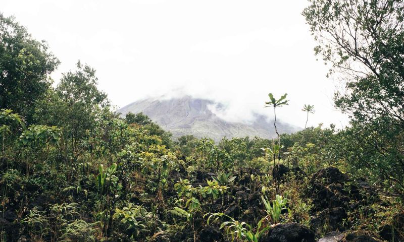 Costa Rica mit Kindern