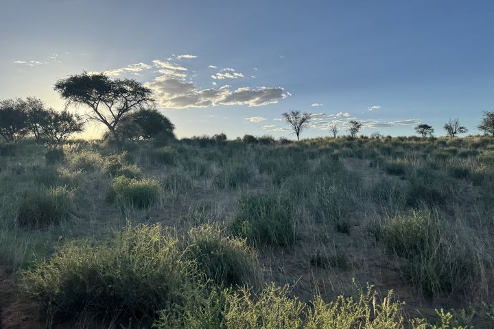 Namibia mit Kindern Rundreise durch Afrika