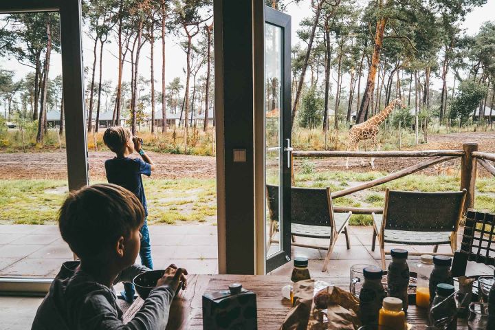 Beekse Bergen