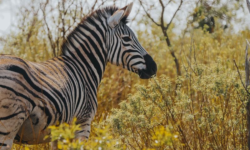Gruppenreise mit der Familie durch Südafrika