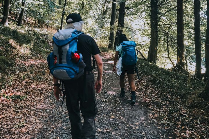 Wandern durch das Siebengebirge