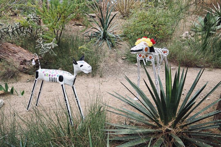 Burger´s Zoo mit Kindern