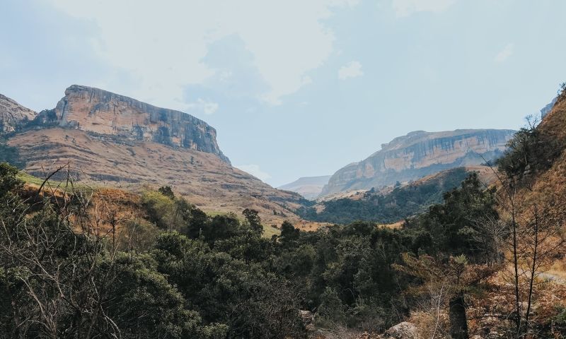 Gruppenreise mit der Familie durch Südafrika
