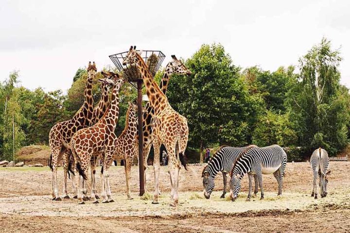 Glamping Niederlande