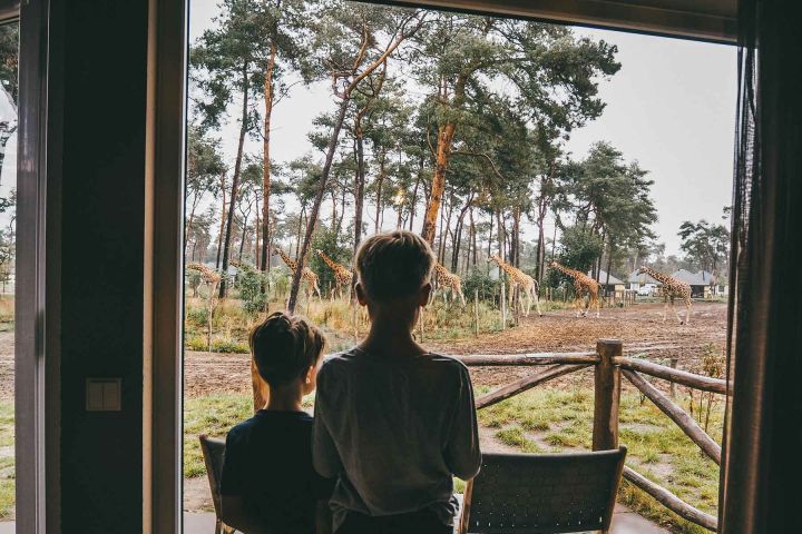 Beekse Bergen