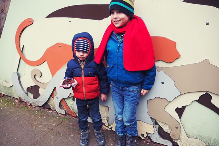Kölner Zoo
