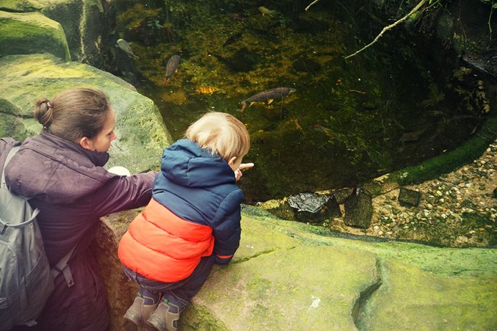 Kölner Zoo