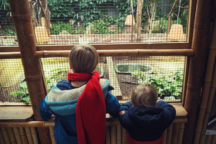 Kölner Zoo