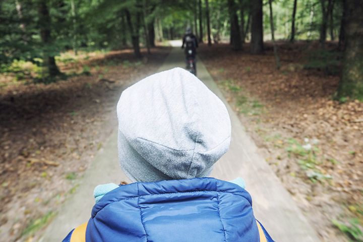 Fahrradfahren im Veluwe Nationalpark Holland