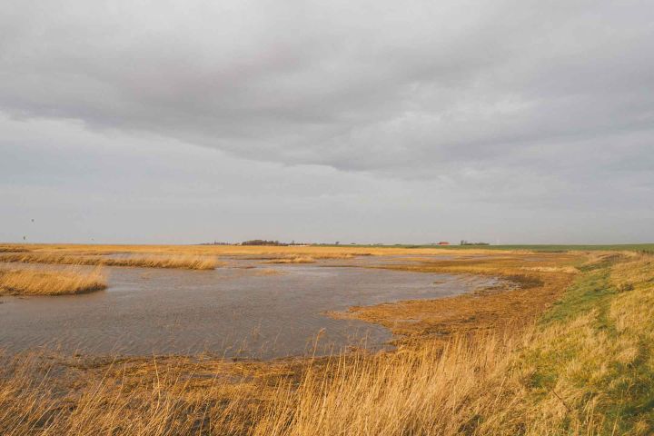 Friesland
