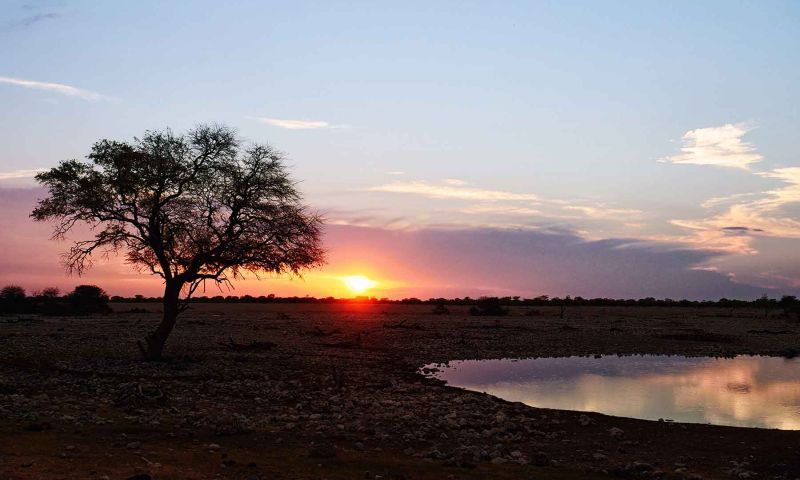 Etosha Nationalpark Namibia