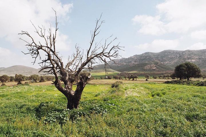 Andalusien mit Kindern