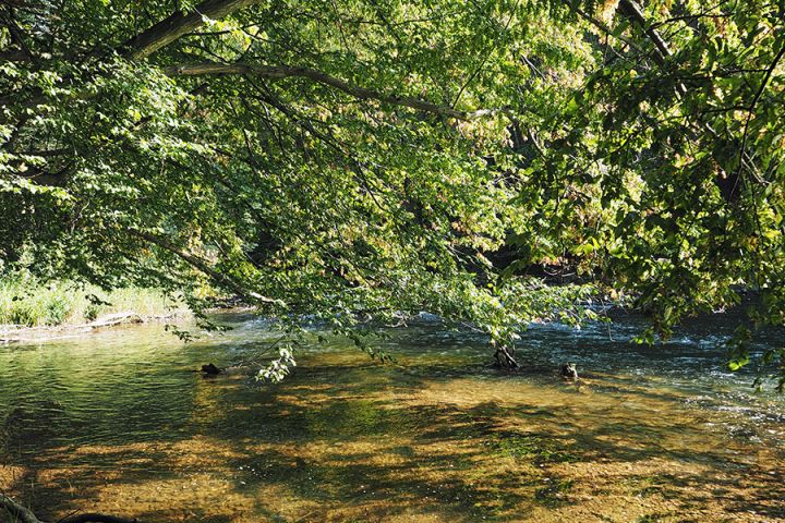 Baden und Schwimmen in der Agger