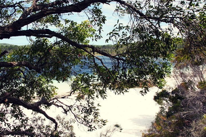 Fraser Island Australien Lake Birrabeen