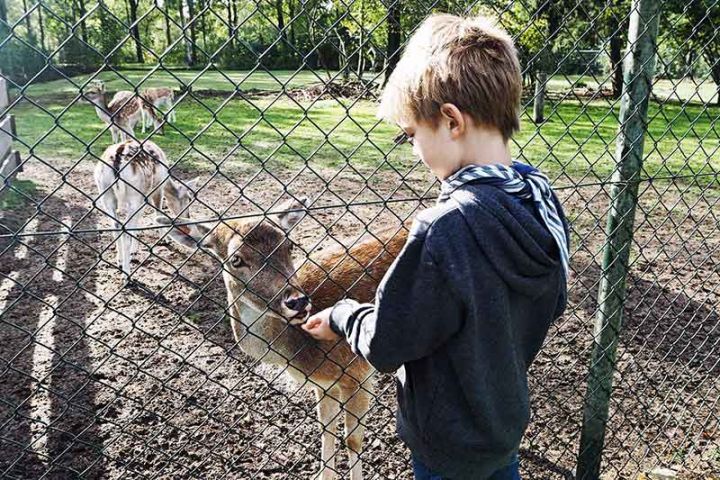 Glamping Niederlande