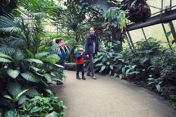 Kölner Zoo