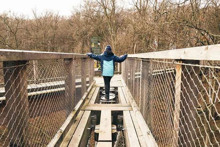Naturerbe Zentrum Rügen und Baumwipfelpfad