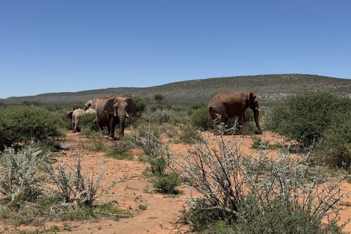 Namibia mit Kindern Rundreise durch Afrika