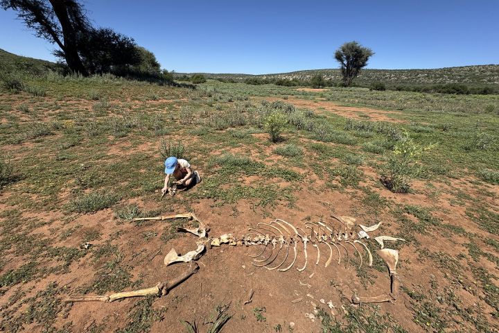 Namibia mit Kindern Rundreise durch Afrika
