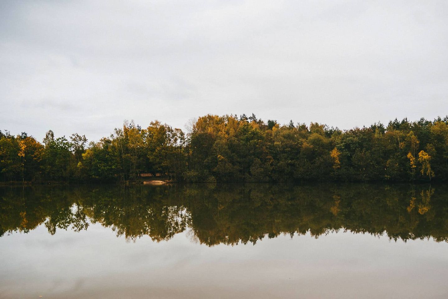 Limburg