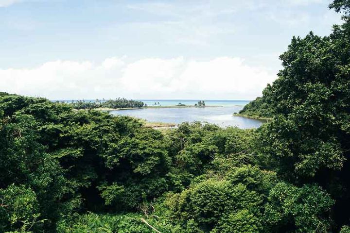Lagune am Corcovado Nationalpark