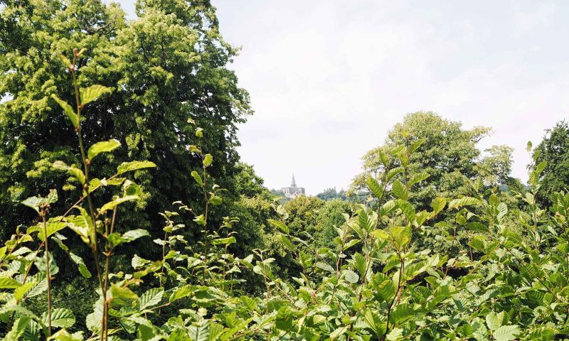 Kassel Herkules