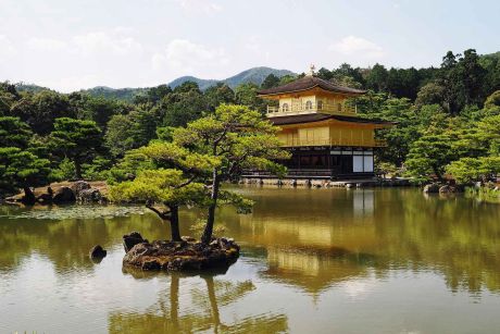 Japan mit Kindern und Rundreise im Campervan Kyoto Tempel