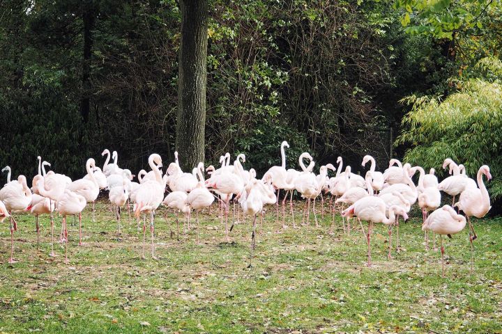 Burger´s Zoo mit Kindern