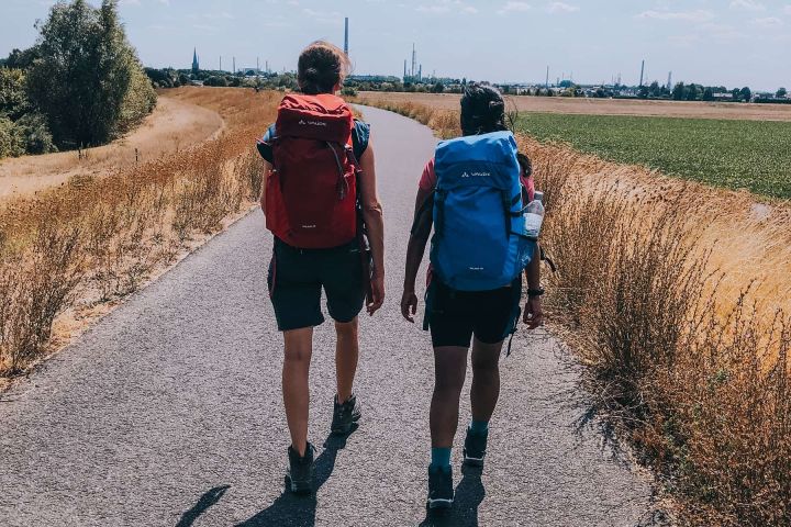 Über die Felder
