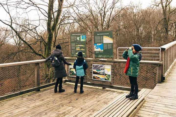 Naturerbe Zentrum Rügen und Baumwipfelpfad