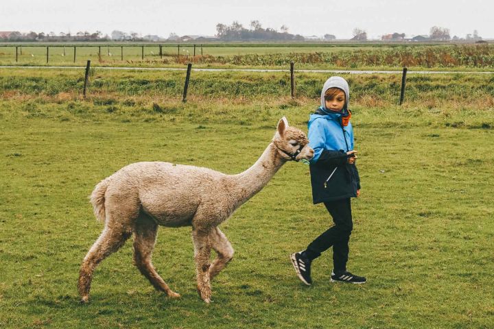 Zeeland