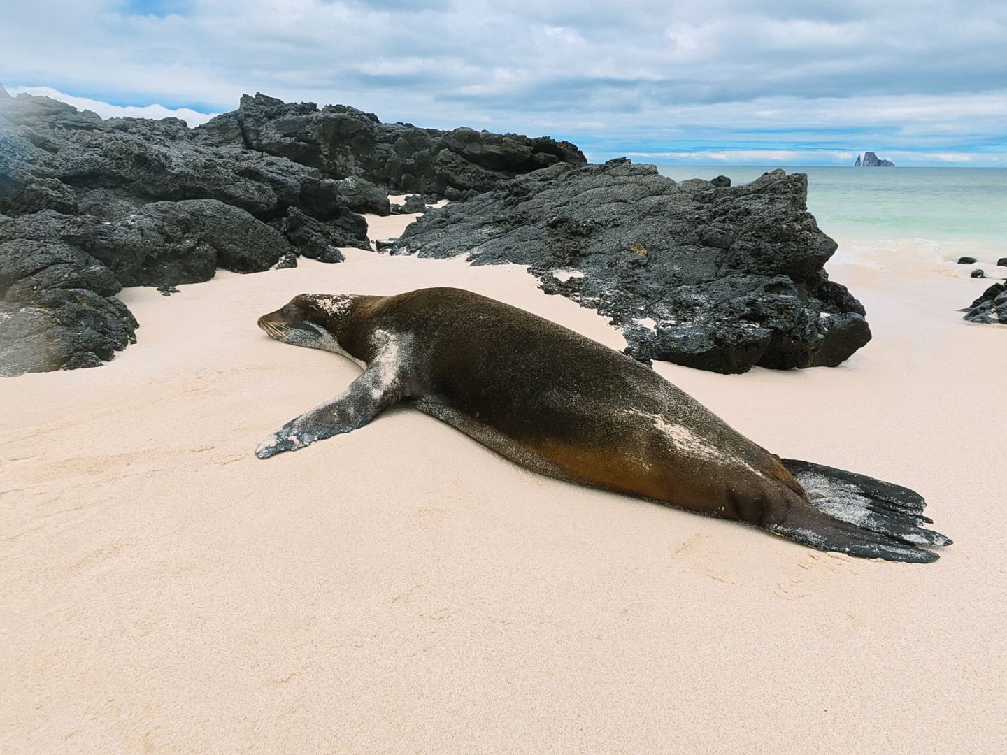 Galapagos Inseln Rundreise mit Kindern