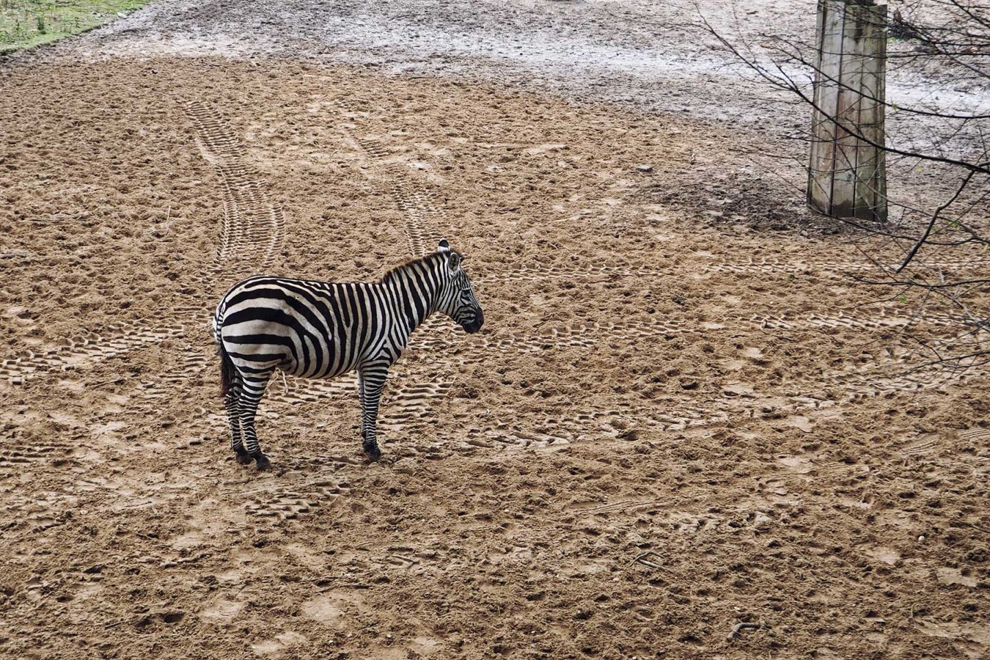 Burgers Zoo in Arnheim Holland Niederlande