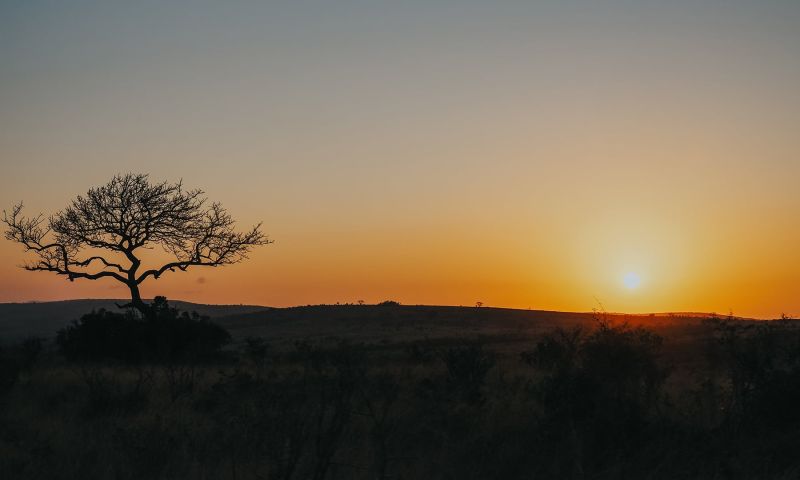 Gruppenreise mit der Familie durch Südafrika