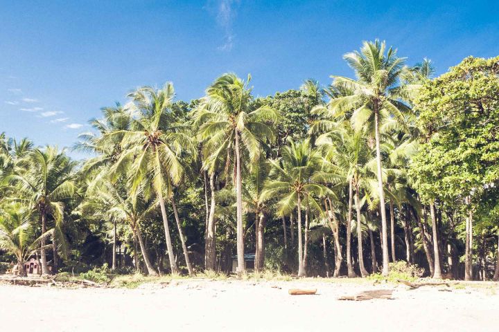 Santa Teresa Costa Rica