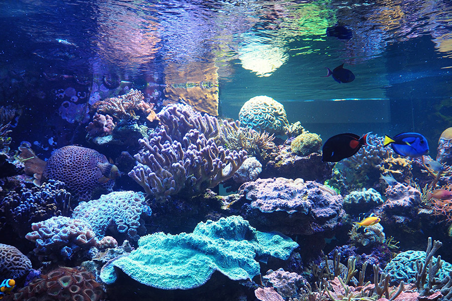 Holland Wochenende mit Kindern