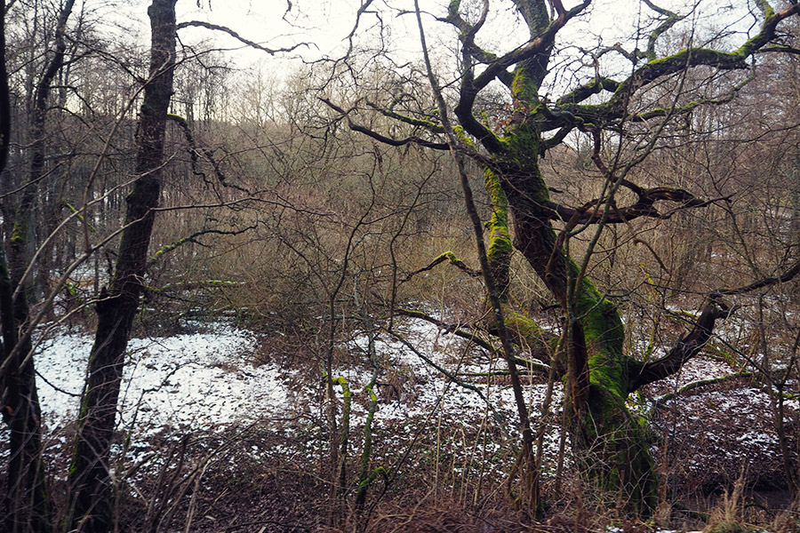 Holland Wochenende mit Kindern