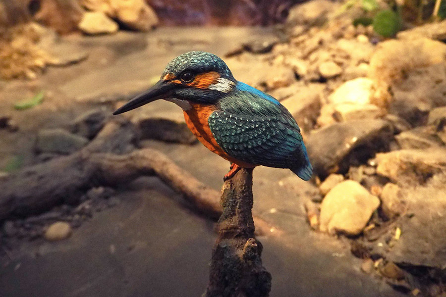 Holland Wochenende mit Kindern