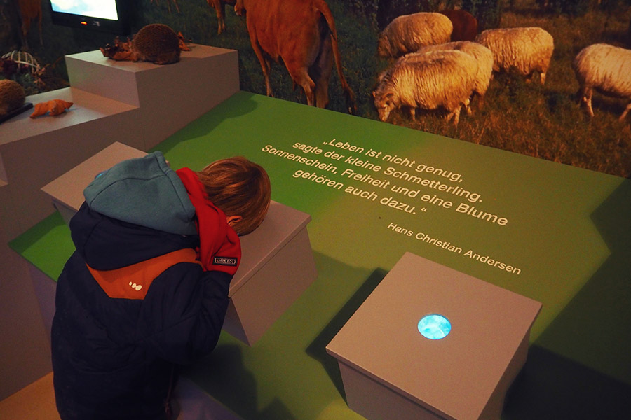 Holland Wochenende mit Kindern