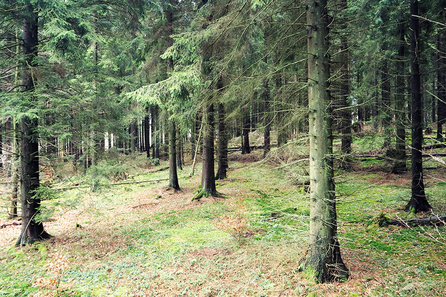 Holland Wochenende mit Kindern